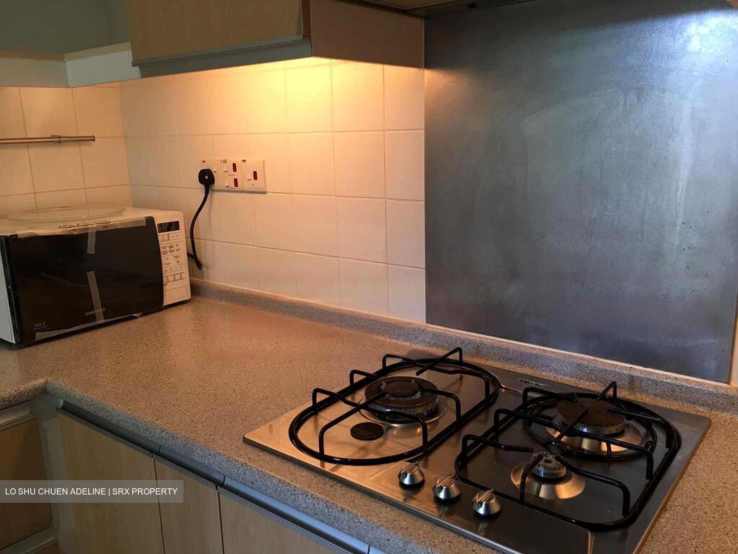 Edelweiss Park Condominium (D17), Condominium #481404381